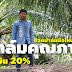 ไม่สาย ถ้าคิดจะเริ่มต้น  สวนปาล์มมือใหม่ หัดทำปาล์มคุณภาพ ได้น้ำมัน 20% 