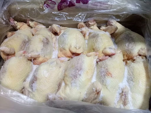 Gà dai 1,3-1,5kg