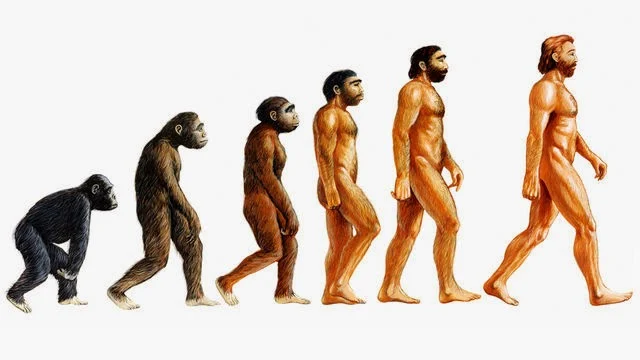 Teori Darwin Tentang Evolusi Manusia Tak Ilmiah