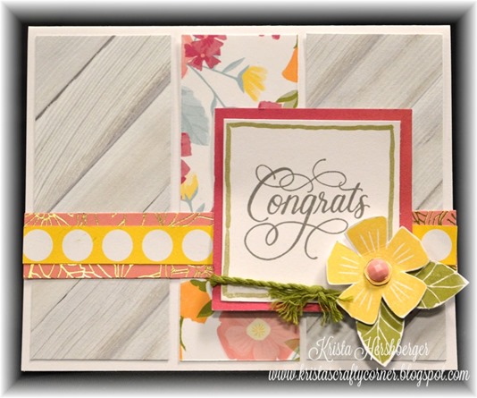 2016 happy times card class - C3 DSC_1359