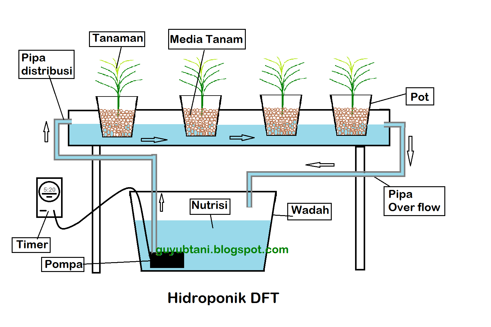 Cara Bertanam Hidroponik  DFT Deep Flow Technique Guyub 