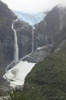 IMG_3994