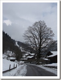 Lauterbrunnen - Paisagem - IMG_4368