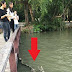 OMG Dikira hoax, foto Biawak raksasa di bawah jembatan ini ternyata asli dan bikin netizen heboh!