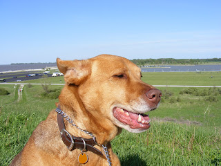 Reba at Maumee Bay