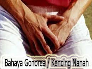 Obat Ampuh Untuk Kencing Nanah Peli Lembek