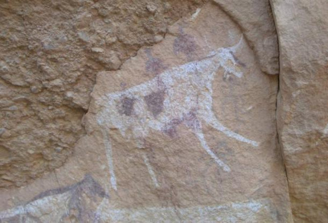 Крупный рогатый скот, изображенный на наскальных рисунках в пустыне Сахара в Гебель-эль-Увейнат, юго-запад Египта