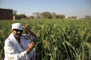 Prakash SIngh Raghuvanshi - the guardian of native seeds - inspirational story1