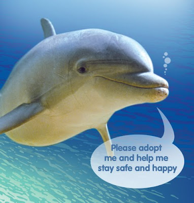 save  dolphin