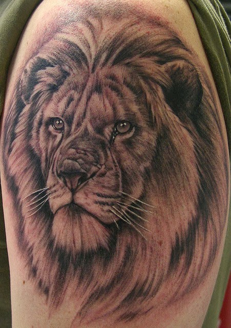 Realist 3D lion tattoo on arm 