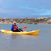 Kayaking the Elkhorn Slough – Swimming with the fishes