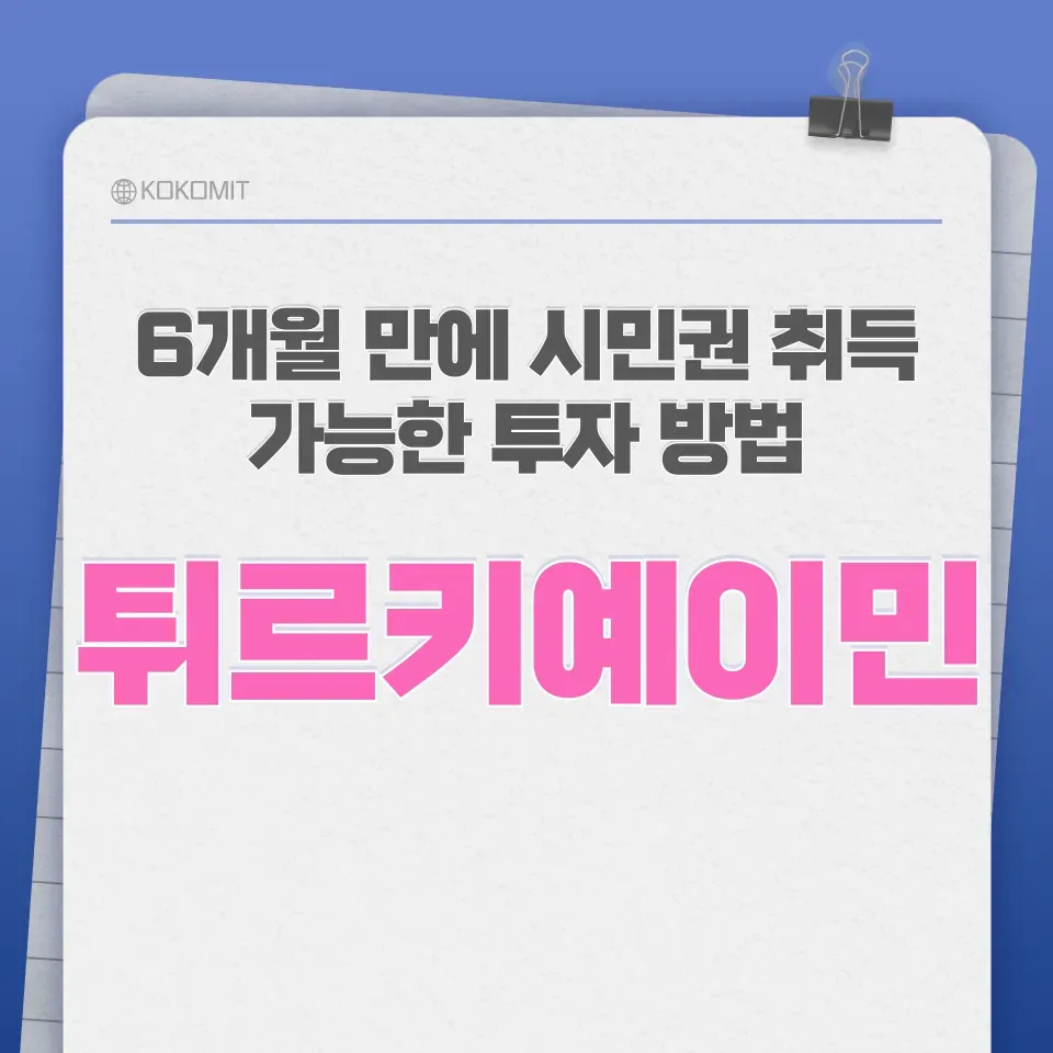튀르키예-이민-이미지