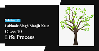 Solutions of Life Process Lakhmir Singh Manjit Kaur SAQ, LAQ and MCQ Pg No. 25 Class 10 Biology