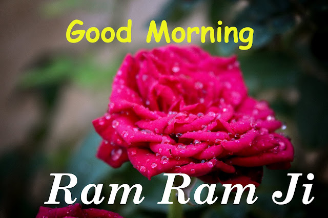 Good Morning Ram Ram Ji Flower Images,