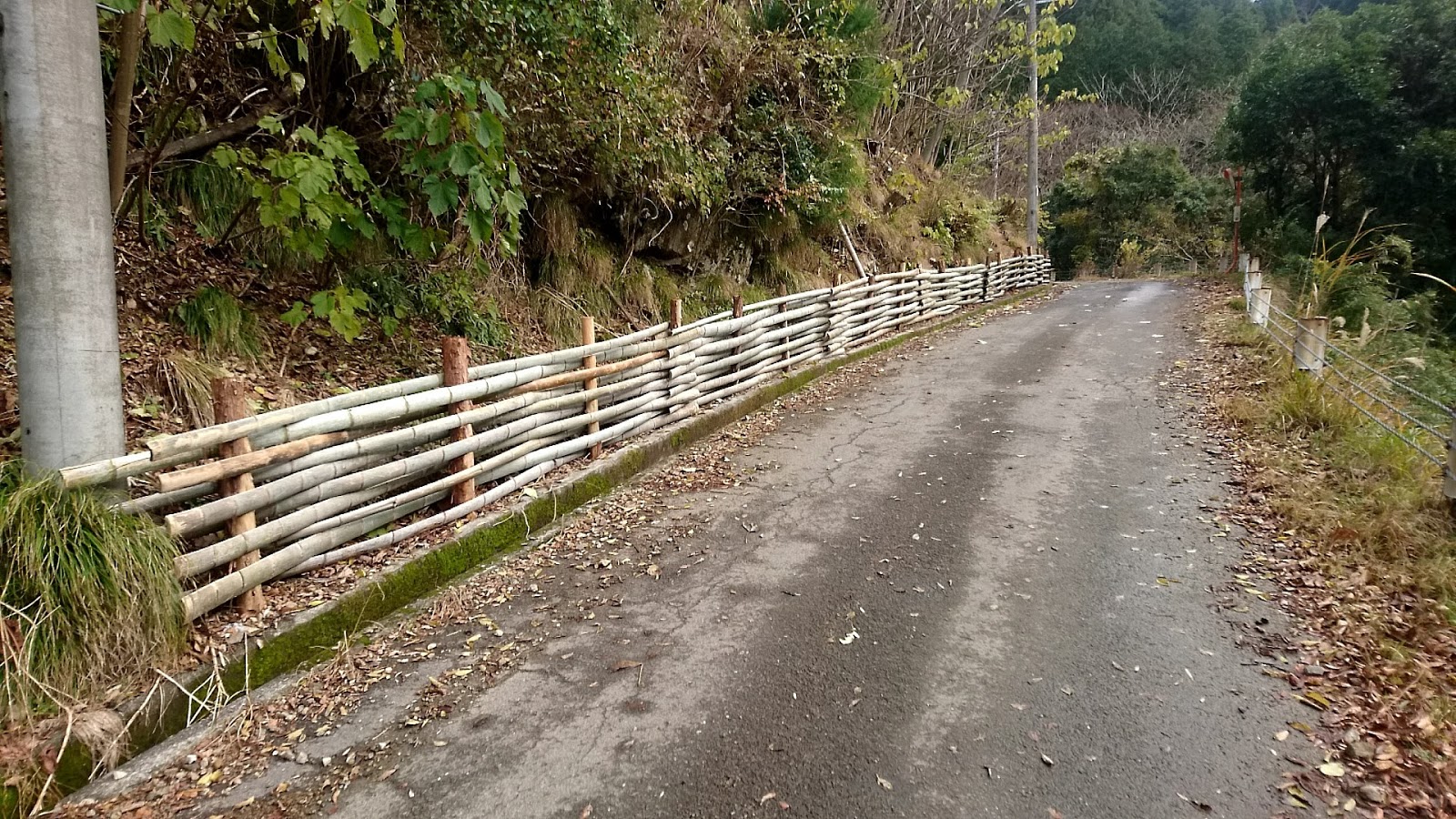 雨男が来た まだら模様の山