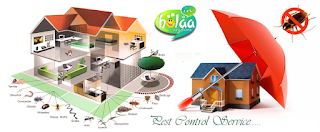 Pest Control services in Baroda