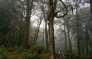 Tempat Wisata di Taiwan yang Menarik untuk Rekreasi