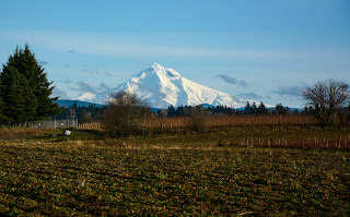 Mt Hood