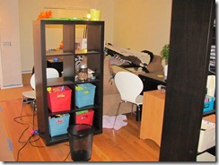 IMG_0338 (2)