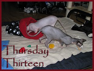 Thursday Thirteen