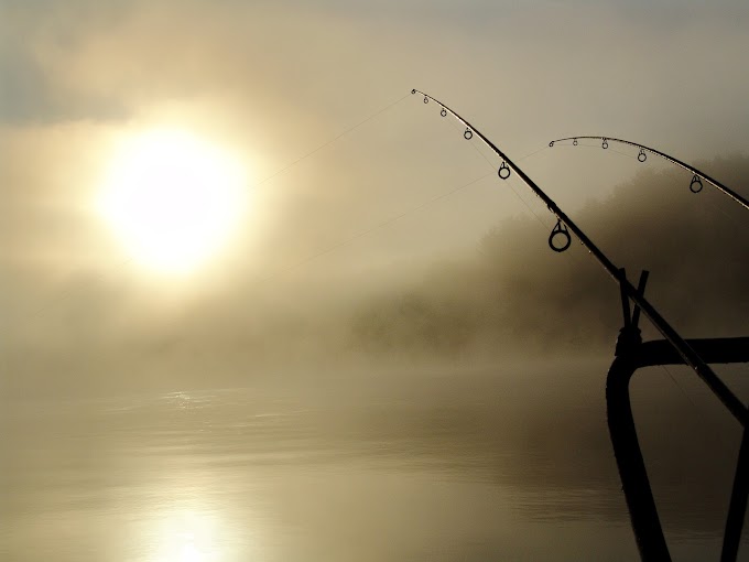 Summer Fishing - Means More Bait and Pests