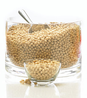 Soybean is a leguminous plant that forms the basis of many of the East Asian food such as soy sauce, tofu, and tempeh