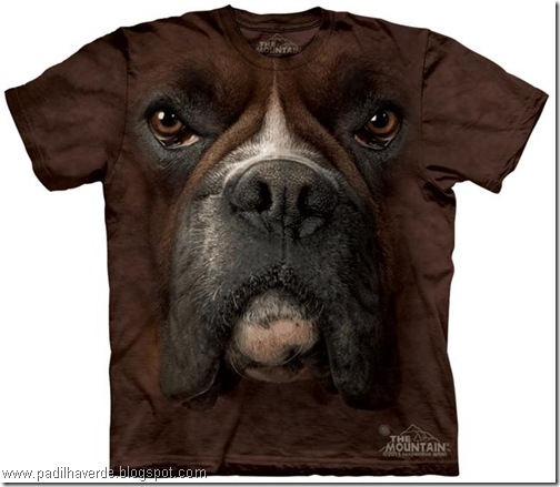 camisetas de Montain-1
