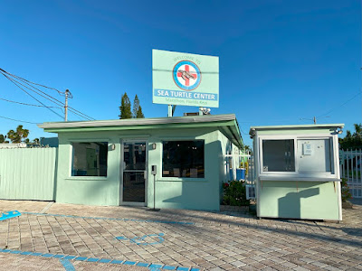 The Turtle Hospital, Florida Keys