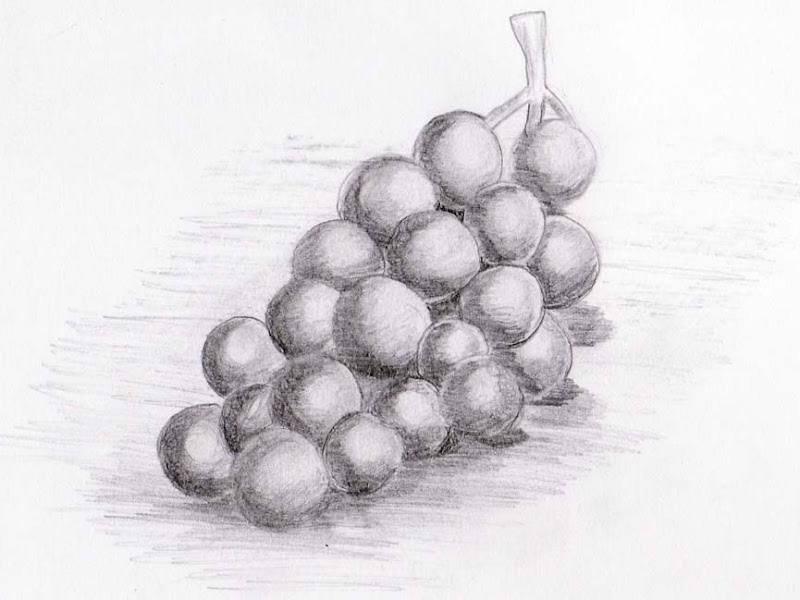 13+ Gambar Sketsa Buah Buahan Arsir, Inspirasi Baru!