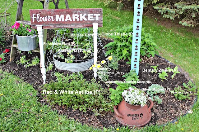 What to Plant in a Junk Garden organizedclutter.net