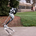 Robot met struisvogelpoten gaat pakketjes bezorgen