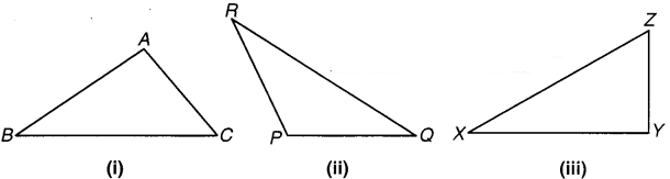 Solutions Class 7 गणित Chapter-6 ( त्रिभुज और उसके गुण)