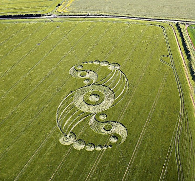 Awesome Yin and Yang crop Art Seen On www.coolpicturegallery.net