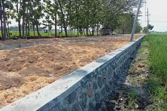 Desa Bendo Kecamatan Padas Ngawi Dengan Dana Desa (DD) Tahun 2023 Membangun Talud Penahan Jalan-Pertanian, penduduk, area sawah, pelantikan, Kantor Desa, Balai Desa