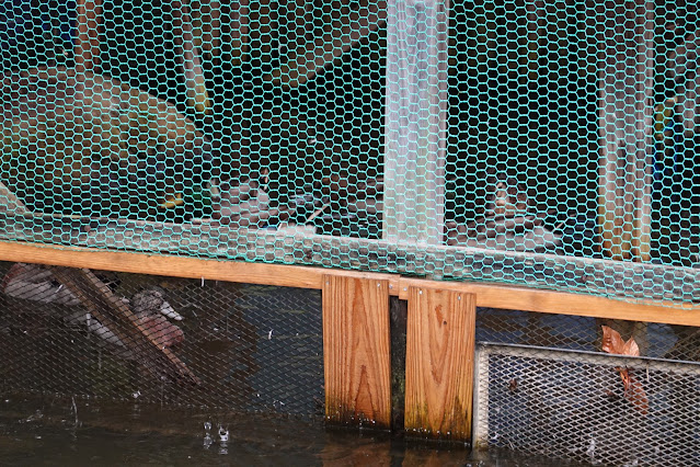 鳥取県米子市淀江町福岡　伯耆古代の丘公園