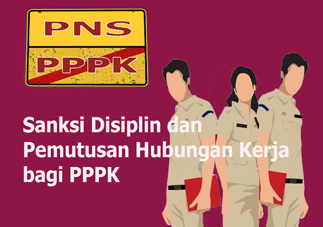 pppk non pns