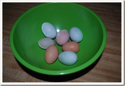 marked eggs