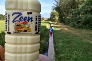 zeen yoghurt