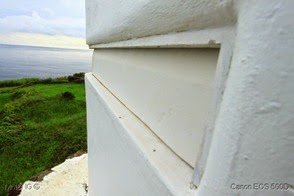 IMG_4211
