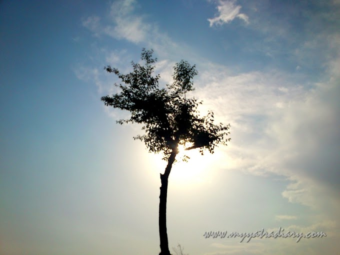 Soulie Saturday #11: Baby, Just Sway! (Nurpur Fort near Dharamsala)