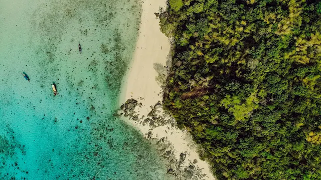 Foto de Drone, Mar, Praia, Floresta