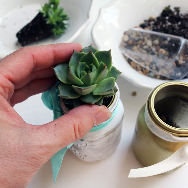 mini mason jar succulent favours | Creative Bag Blog