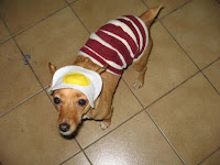 Bacon And Eggs Costume1
