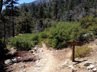 View southwest on Windy Gap Trail, below the first crossing of South Mount Hawkins Fire Road, Crystal Lake, Angeles National Forest