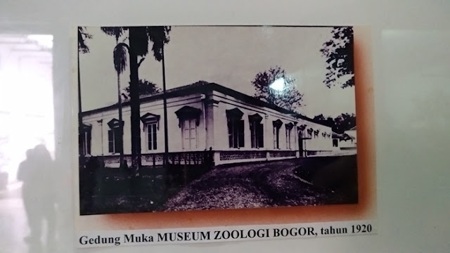 Museum Zoologi