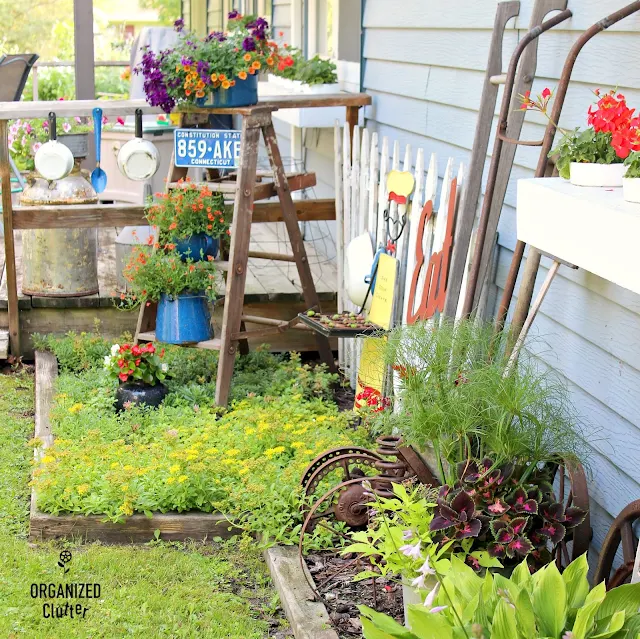 2019 Annual Junk Garden Tour #junkgarden #annuals #perennials #containergarden #galvanized #garagesalefinds #thriftshopmakeover #vintage #outdoordecor #stencil