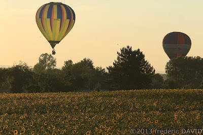 campagne tournesols silhouettes crepuscule ballons montgolfières chambley mondial air ballon 2013 Lorraine