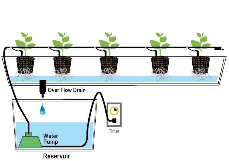 90+ Cara Kerja Sistem Hidroponik