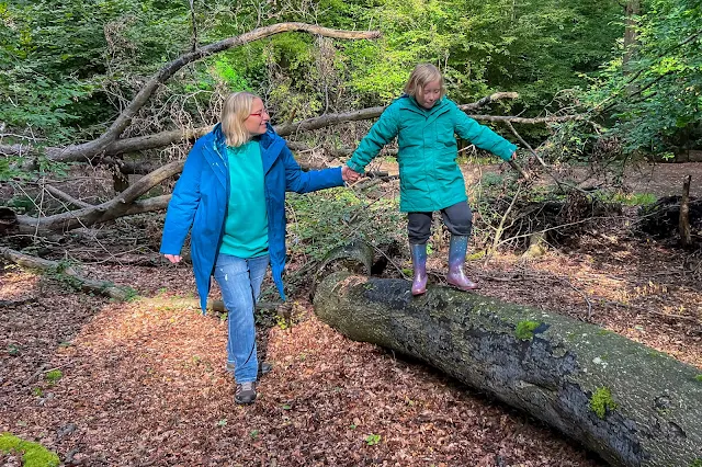 A mum holding her daughter's hand while she walks along a fallen tree trunk in the forest
