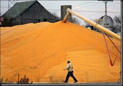 Serious corn
